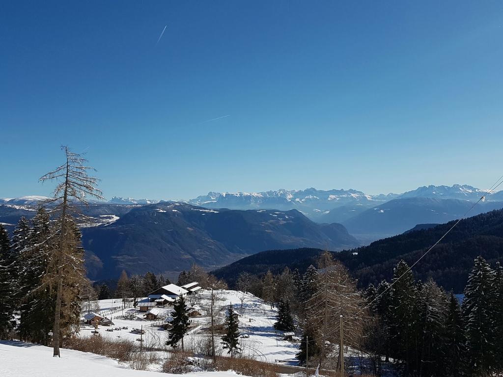 Berggasthof Pension Pfitscher Unsere Liebe Frau im Walde Екстериор снимка